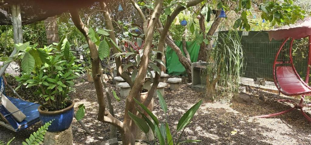 נופש דביר - סוויטות מהממות ובקתה כפרית עם ג'קוזי ליד הכנרת - יש מקלט צמוד Villa Migdal Room photo